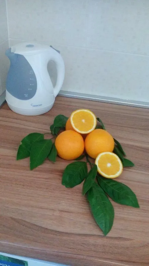 Apartments Blue Lagoon Trogir Kroatien